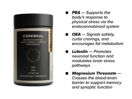 Cerebral